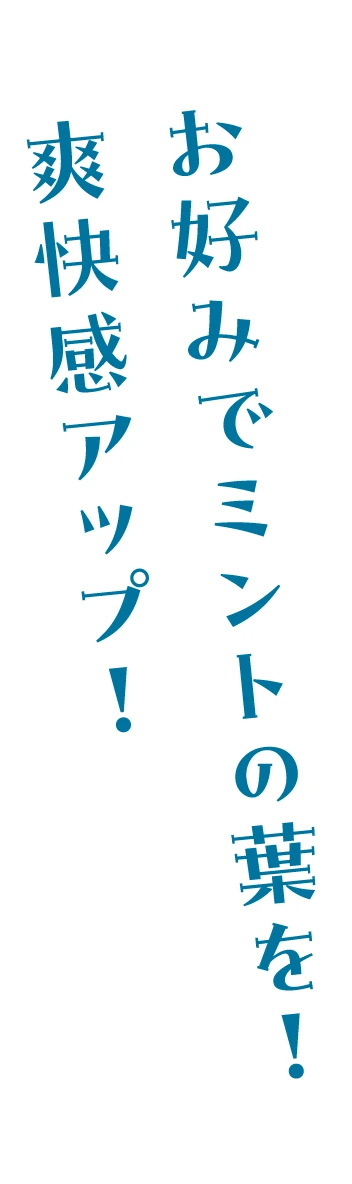 お好みでミントの葉を！爽快感アップ！